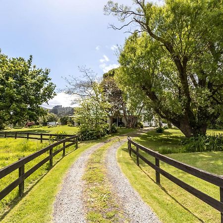 Jacaranda Lodge Coromandel Экстерьер фото