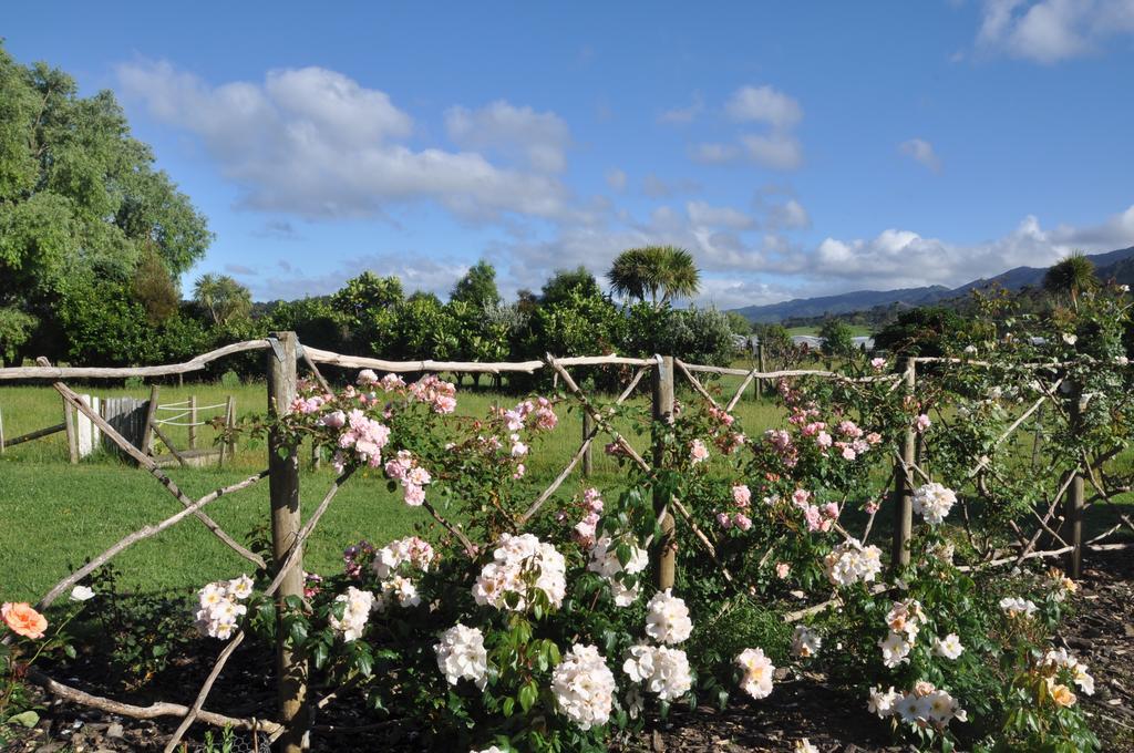 Jacaranda Lodge Coromandel Экстерьер фото