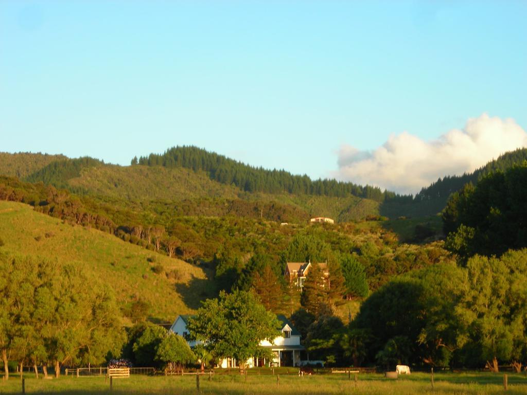 Jacaranda Lodge Coromandel Экстерьер фото