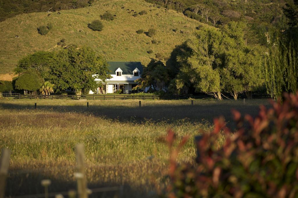 Jacaranda Lodge Coromandel Экстерьер фото
