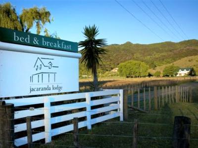 Jacaranda Lodge Coromandel Экстерьер фото