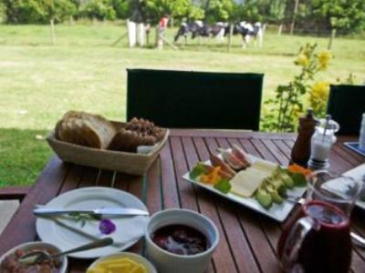 Jacaranda Lodge Coromandel Экстерьер фото